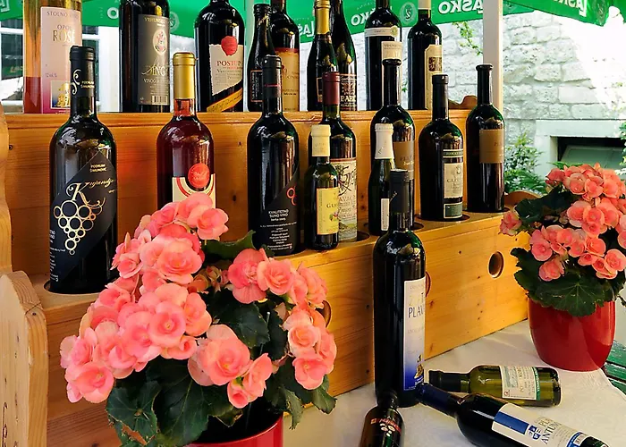 Ξενοδοχείο Monika Τρογκίρ